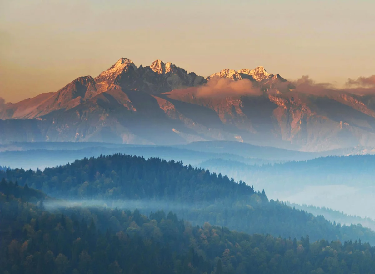 Czy naprawić elektronikę jest trudno?