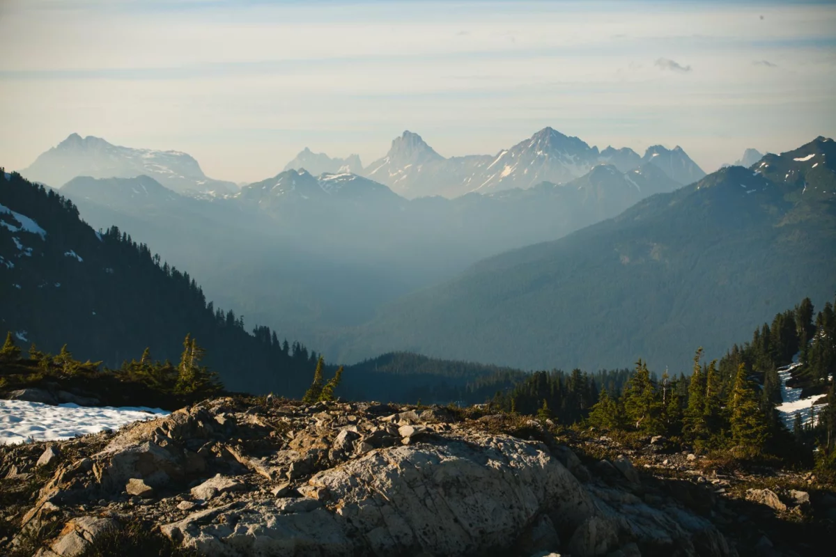 Czy można nauczyć się tańca w dzień?