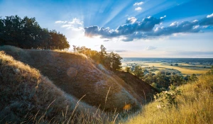 Jak kupić odblaskowy paracord Natychmiastowo?