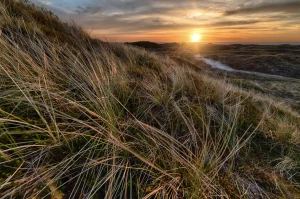 Audyt środowiskowy krok po kroku: jak doradztwo ekologiczne obniża koszty i minimalizuje ryzyko prawne w małych i średnich przedsiębiorstwach